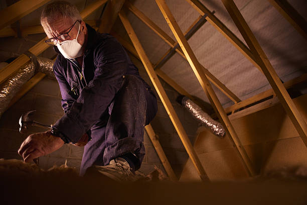 Best Residential Insulation in Parkland, WA