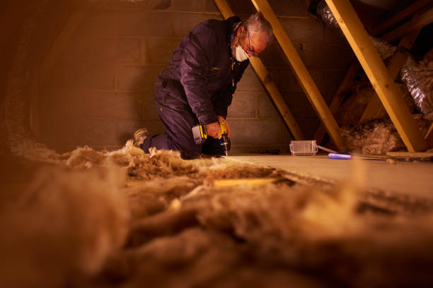 Best Energy Efficiency Solutions in Parkland, WA